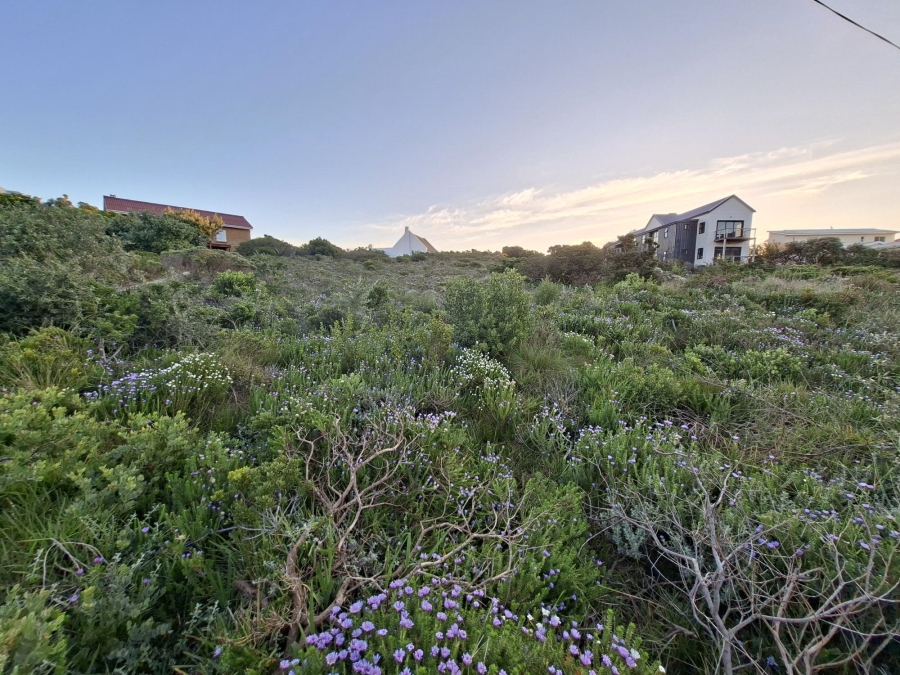 0 Bedroom Property for Sale in Pringle Bay Western Cape